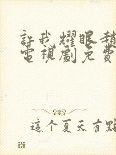 许我耀眼赵露思电视剧免费观看全集在线播放