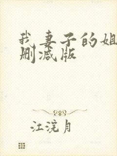 我妻子的姐姐未删减版封面