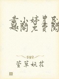 黄小婷农民工笔趣阁免费阅读正版封面