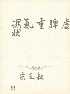 湿气重脾虚的症状