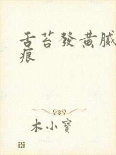 舌苔发黄腻有齿痕