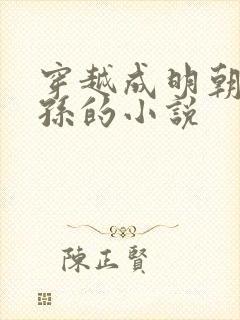 穿越成明朝皇太孙的小说