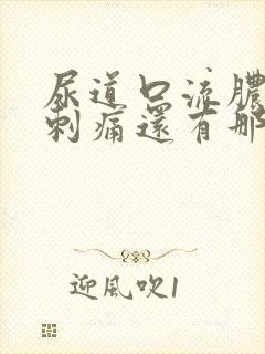 尿道口流脓小便刺痛还有那么一点味