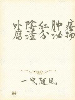 外阴红肿瘙痒豆腐渣分泌物