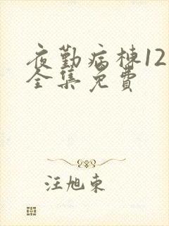 夜勤病栋12集全集免费
