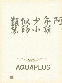 类似少年阿宾钰慧的小说封面