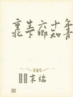 重生六十年代东北下乡知青