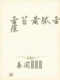 舌苔黄腻舌边齿痕封面