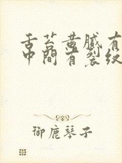 舌苔黄腻有齿痕中间有裂纹