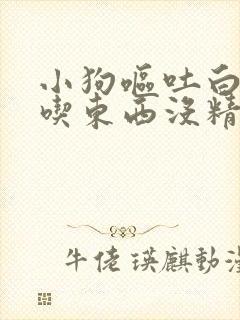 小狗呕吐白沫不吃东西没精神怎么办