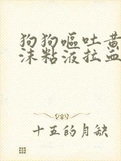 狗狗呕吐黄水泡沫粘液拉血