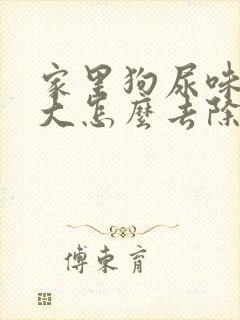 家里狗尿味道很大怎么去除