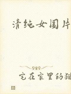 清纯女图片