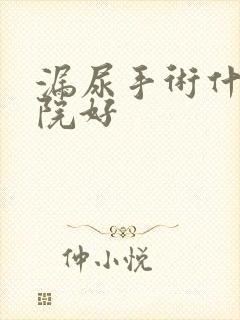 漏尿手术什么医院好封面