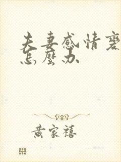 夫妻感情变淡了怎么办