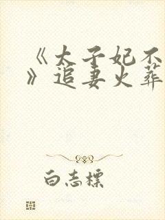 《太子妃不干了》追妻火葬场封面