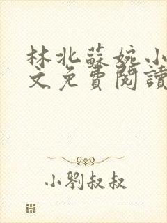 林北苏婉小说全文免费阅读无弹窗