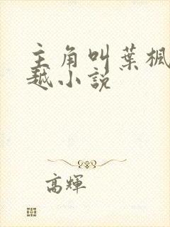 主角叫叶枫的穿越小说