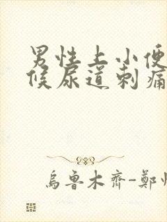 男性上小便的时候尿道刺痛有血是怎么回事