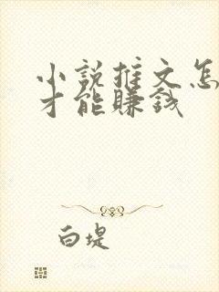 小说推文怎么弄才能赚钱