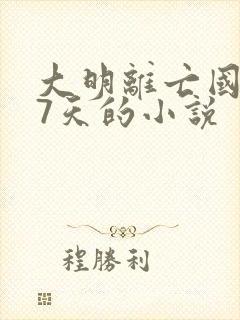 大明离亡国还有7天的小说