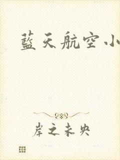 蓝天航空小说封面