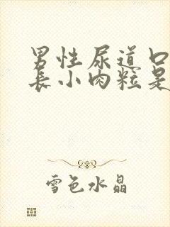 男性尿道口周围长小肉粒是怎么回事