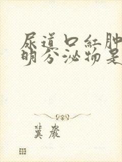 尿道口红肿有透明分泌物是什么病封面