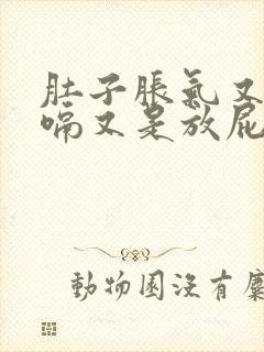 肚子胀气又是打嗝又是放屁