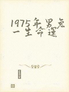 1975年男兔一生命运
