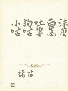 小狗吐白沫肚子咕咕响怎么办