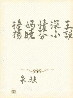 后妈情深王磊与杨晓芬小说