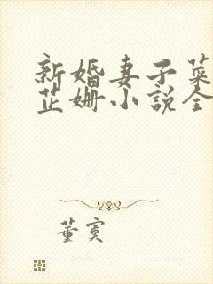 新婚妻子菜老板芷姗小说全集封面