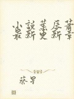 小说叶辰萧初然最新更新章节