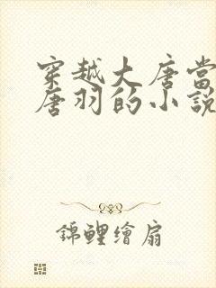 穿越大唐当太子唐羽的小说