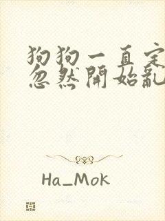 狗狗一直定点,忽然开始乱尿乱拉