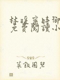 林暖宁时御全文免费阅读小说封面