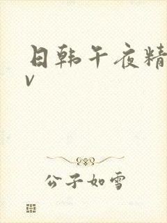 日韩午夜精品av