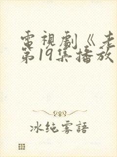 电视剧《老舅》第19集播放