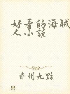 好看的海贼王同人小说封面