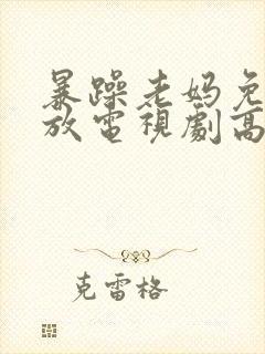 暴躁老妈免费播放电视剧高清封面