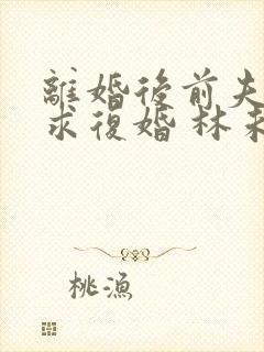 离婚后前夫哭着求复婚 林未央