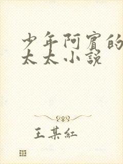 少年阿宾的房东太太小说