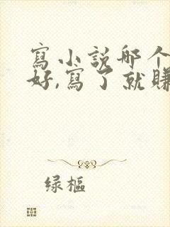 写小说哪个平台好,写了就赚钱