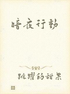 暗夜行动