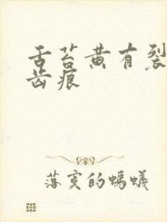 舌苔黄有裂纹有齿痕封面