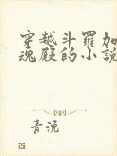 穿越斗罗加入武魂殿的小说