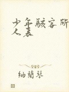 少年骇客所有同人表