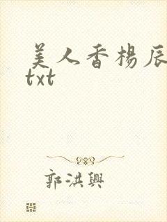 美人香杨辰小说txt