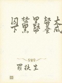 囚禁黑帮大佬年下黑帮养成双强